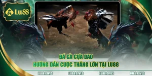 đá gà cựa dao