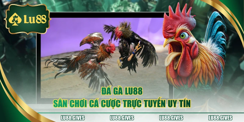 da-ga-lu88-san-choi-ca-cuoc-truc-tuyen-uy-tin