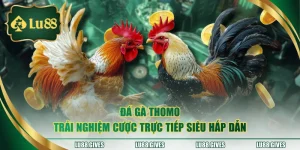 đá gà thomo