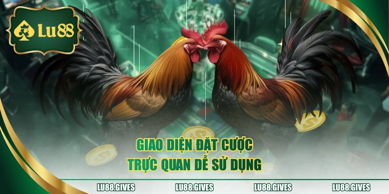 Giao diện đặt cược trực quan dễ sử dụng