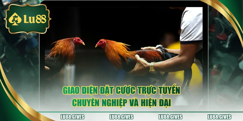 Giao diện đặt cược trực tuyến chuyên nghiệp và hiện đại