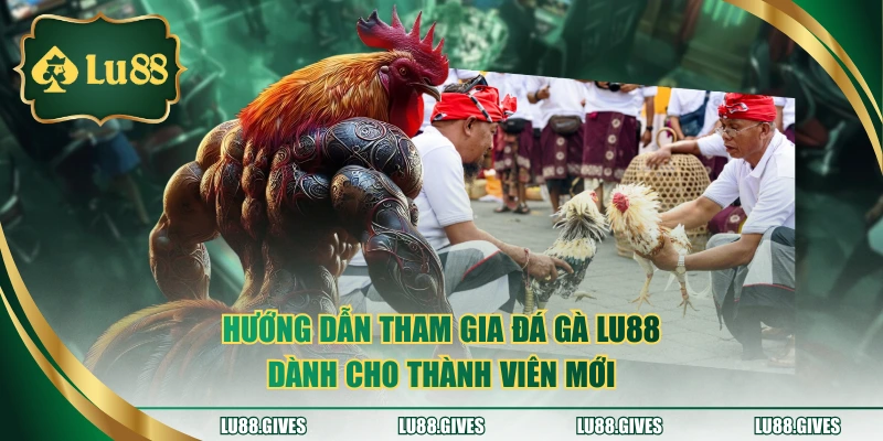 Hướng dẫn tham gia đá gà LU88 dành cho thành viên mới