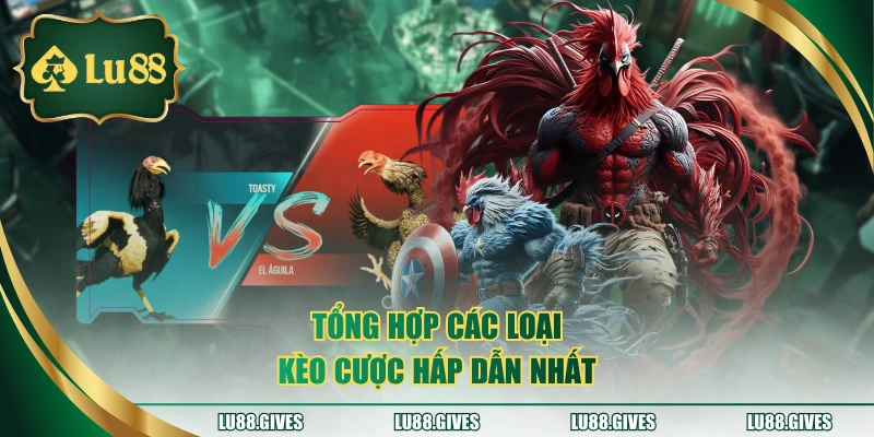 Tổng hợp các loại kèo cược hấp dẫn nhất